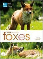 Rspb Spotlight: Foxes