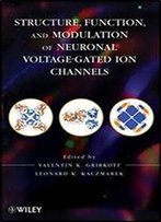 Structure, Function, And Modulation Of Neuronal Voltage-Gated Ion Channels