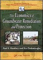 The Economics Of Groundwater Remediation And Protection (Integrative Studies In Water Management & Land Deve)