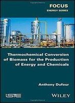 Thermochemical Conversion Of Biomass For The Production Of Energy And Chemicals