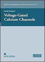 Voltage-Gated Calcium Channels (Molecular Biology Intelligence Unit)