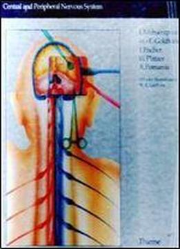 Approaches In Neurosurgery By I. Mohsenipour