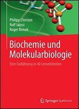 Biochemie Und Molekularbiologie: Eine Einfuhrung In 40 Lerneinheiten