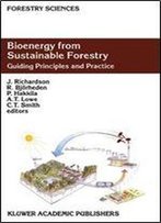 Bioenergy From Sustainable Forestry: Guiding Principles And Practice