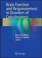 Brain Function And Responsiveness In Disorders Of Consciousness