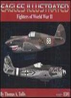 Eagles Illustrated, Vol. 1: Fighters Of Wwii