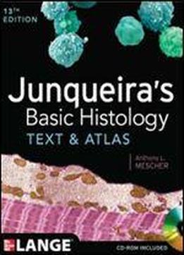 Junqueira's Basic Histology: Text And Atlas, Thirteenth Edition
