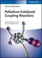 Palladium-Catalyzed Coupling Reactions: Practical Aspects And Future Developments