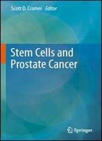 Stem Cells And Prostate Cancer