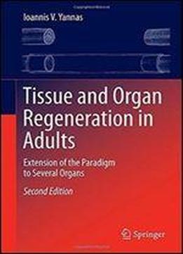Tissue And Organ Regeneration In Adults: Extension Of The Paradigm To Several Organs