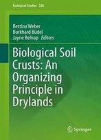 Biological Soil Crusts: An Organizing Principle In Drylands (Ecological Studies)