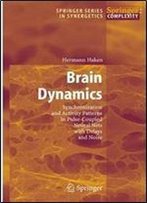Brain Dynamics: Synchronization And Activity Patterns In Pulse-Coupled Neural Nets With Delays And Noise (Springer Series In Synergetics)