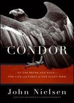 Condor: To The Brink And Back The Life And Times Of One Giant Bird