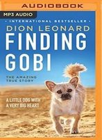 Finding Gobi: A Little Dog With A Very Big Heart