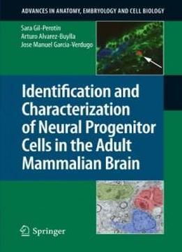 Identification And Characterization Of Neural Progenitor Cells In The Adult Mammalian Brain (advances In Anatomy, Embryology And Cell Biology)