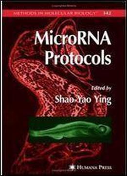 Microrna Protocols (methods In Molecular Biology) 1st Edition