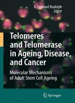Telomeres And Telomerase In Aging, Disease, And Cancer: Molecular Mechanisms Of Adult Stem Cell Ageing