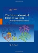 The Neurochemical Basis Of Autism: From Molecules To Minicolumns