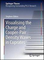 Visualising The Charge And Cooper-Pair Density Waves In Cuprates (Springer Theses)