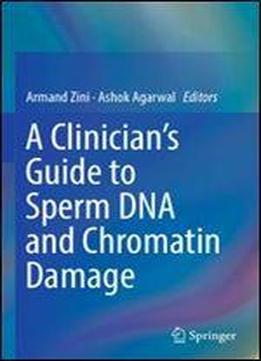 A Clinician's Guide To Sperm Dna And Chromatin Damage