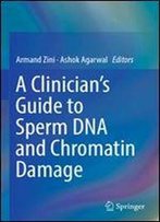 A Clinician's Guide To Sperm Dna And Chromatin Damage