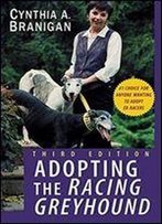 Adopting The Racing Greyhound