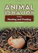 Animal Hunting And Feeding (Animal Behavior)