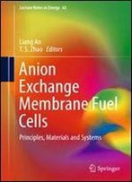 Anion Exchange Membrane Fuel Cells: Principles, Materials And Systems (Lecture Notes In Energy)