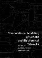 Computational Modeling Of Genetic And Biochemical Networks (Computational Molecular Biology)