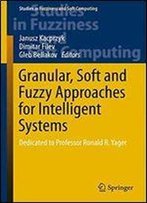 Granular, Soft And Fuzzy Approaches For Intelligent Systems: Dedicated To Professor Ronald R. Yager (Studies In Fuzziness And Soft Computing)