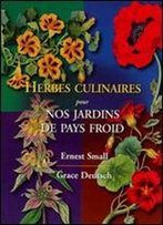 Herbes Culinaires Pour Nos Jardins De Pays Froid