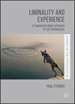 Liminality And Experience: A Transdisciplinary Approach To The Psychosocial (Studies In The Psychosocial)