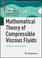 Mathematical Theory Of Compressible Viscous Fluids: Analysis And Numerics (Advances In Mathematical Fluid Mechanics)