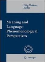Meaning And Language: Phenomenological Perspectives (Phaenomenologica)