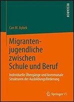 Migrantenjugendliche Zwischen Schule Und Beruf: Individuelle Ubergange Und Kommunale Strukturen Der Ausbildungsforderung