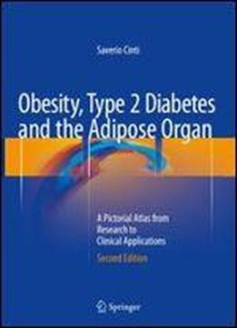Obesity, Type 2 Diabetes And The Adipose Organ: A Pictorial Atlas From Research To Clinical Applications
