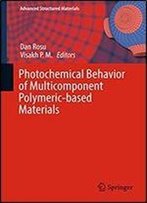 Photochemical Behavior Of Multicomponent Polymeric-Based Materials (Advanced Structured Materials)
