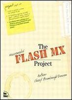 The Flash Mx Project