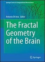 The Fractal Geometry Of The Brain (Springer Series In Computational Neuroscience)