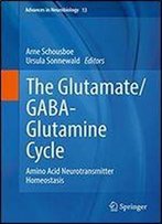 The Glutamate/Gaba-Glutamine Cycle: Amino Acid Neurotransmitter Homeostasis (Advances In Neurobiology)