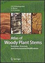 Atlas Of Woody Plant Stems: Evolution, Structure, And Environmental Modifications
