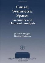 Causal Symmetric Spaces (Perspectives In Mathematics)