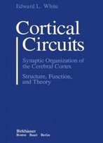 Cortical Circuits: Synaptic Organization Of The Cerebral Cortex Structure, Function, And Theory
