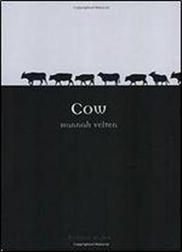 Cow (animal)