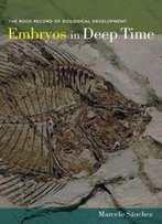 Embryos In Deep Time: The Rock Record Of Biological Development
