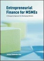 Entrepreneurial Finance For Msmes: A Managerial Approach For Developing Markets