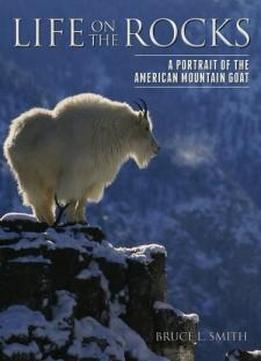 Life On The Rocks: A Portrait Of The American Mountain Goat