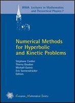 Numerical Methods For Hyperbolic And Kinetic Problems (Irma Lectures In Mathematics & Theoretical Physics, 7)
