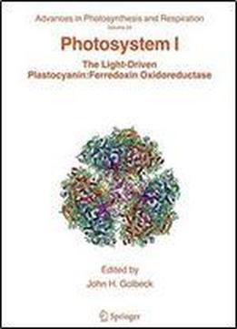 Photosystem I: The Light-driven Plastocyanin: Ferredoxin Oxidoreductase (advances In Photosynthesis And Respiration)