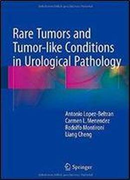 Rare Tumors And Tumor-like Conditions In Urological Pathology
